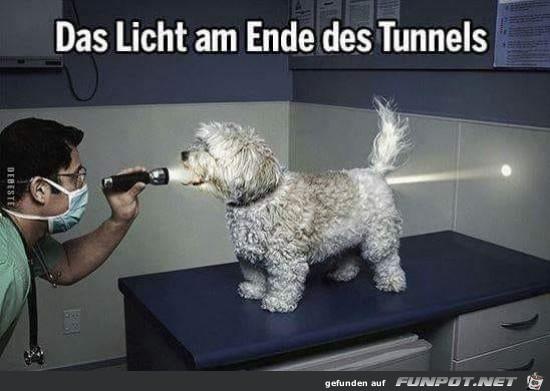 das_Licht_am_Ende_des_Tunnels.jpg