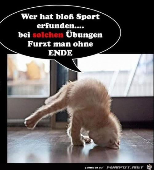 Bloeder_Sport.jpg