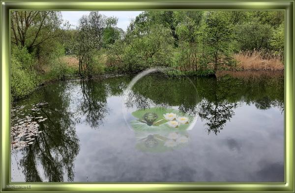 kugel die im wasser versinkt.jpg