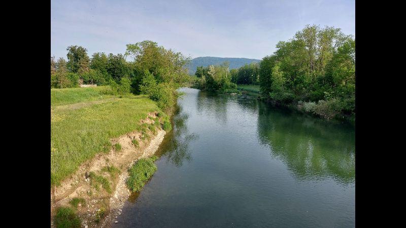 Aare.JPG