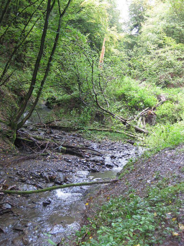 Ehrbachklamm-Baybachtal  25.-26.9.2010 010.JPG