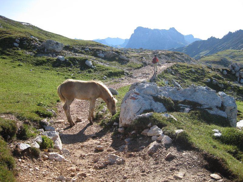 Grödnertal 111.7. bis 27.7.2011 157.JPG