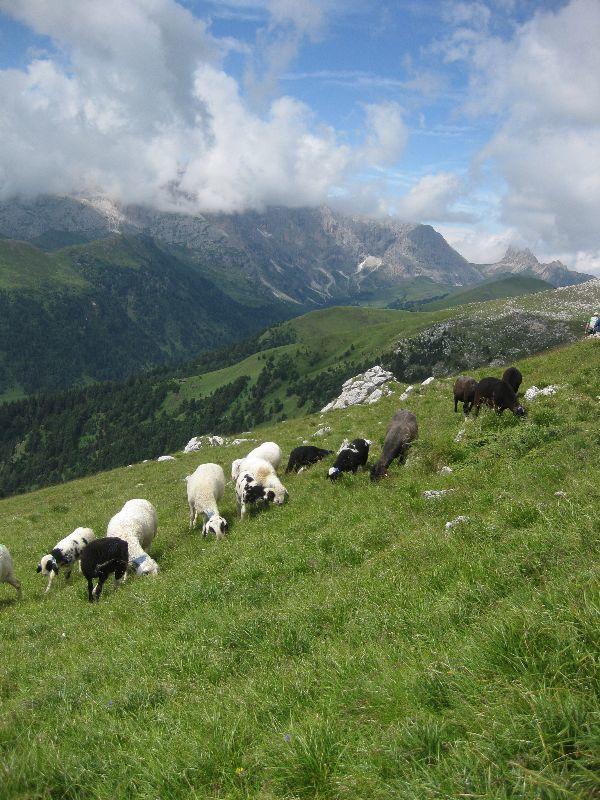 Grödnertal 111.7. bis 27.7.2011 043.JPG