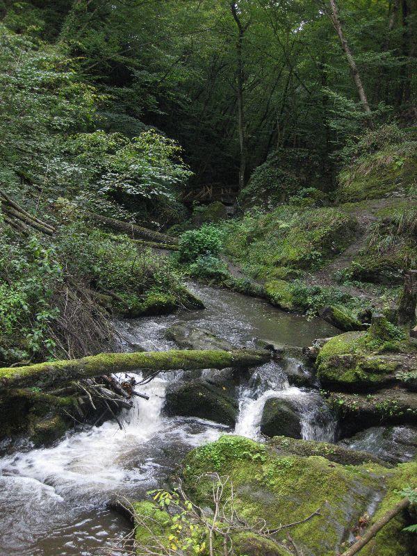 Ehrbachklamm-Baybachtal  25.-26.9.2010 023.JPG