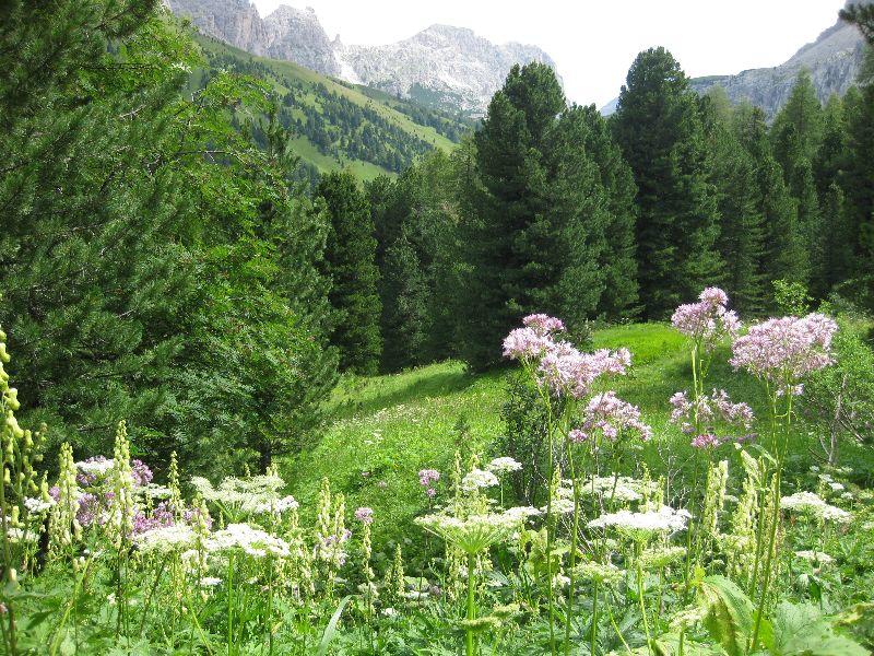 Grödnertal 111.7. bis 27.7.2011 079.JPG