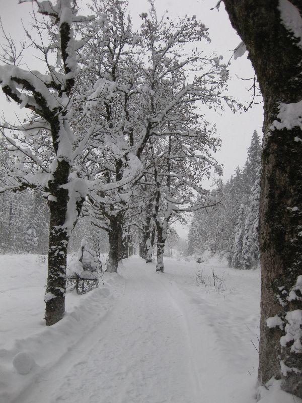 Obersdorf 12.2014 011.JPG