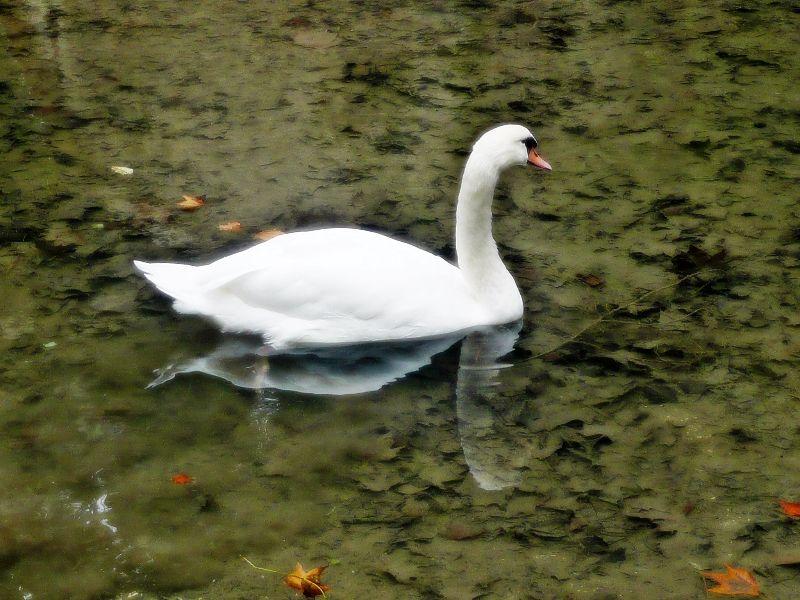 spiegelung-ab.JPG