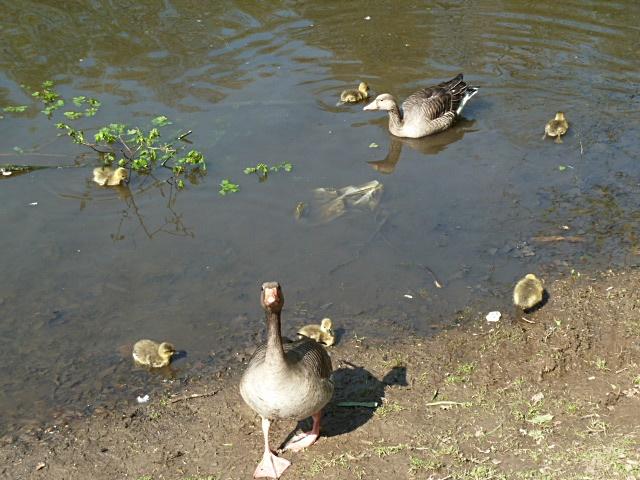 familie-erl.JPG