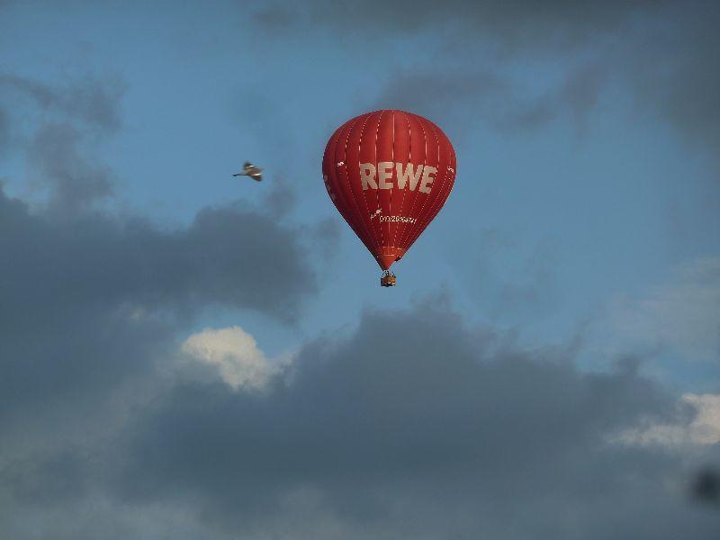 ballon-erl.JPG