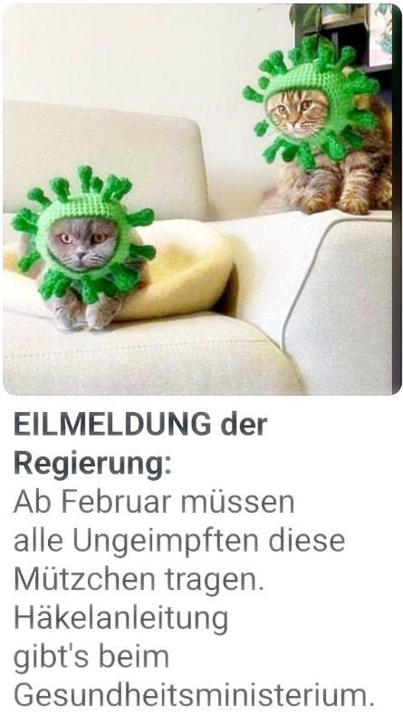 katze-erl.jpg