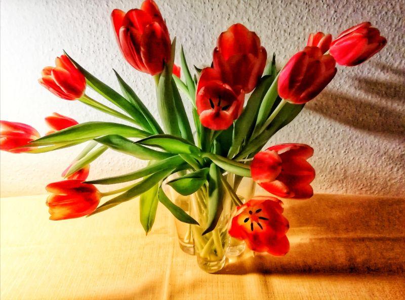 TULPEN-VASE-erl.jpeg