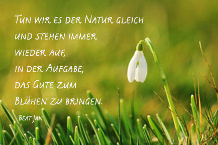 natur.jpg