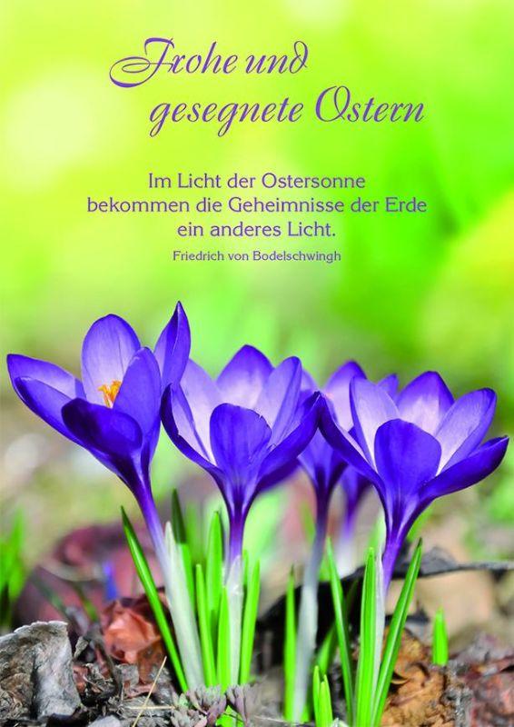 osterkarte-frohe-und-gesegnete-ostern--6-stck-.jpg