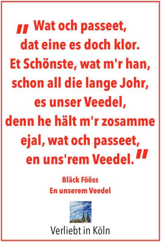 veedel.jpg