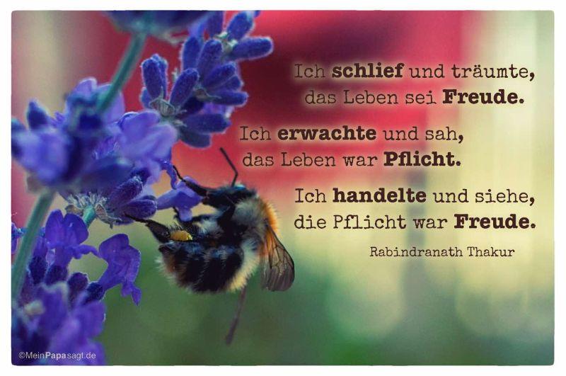 ich-schlief-und-traeumte-das-leben-sei-freude-ich-erwachte-und-sah-das-leben-war-pflicht-Ich-handelte-und-siehe-die-pflicht-war-freude-rabindranath-thakur-mein-papa-sagt-weisheiten-zitate.jpg