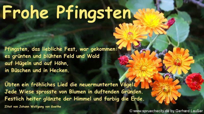 pfingstspruch-bilder-frohe-pfingsten-wunsch-grusskarten-zitate-1000.jpg