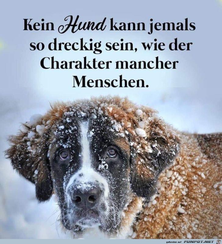 Kein_Hund_kann_jemals.jpg