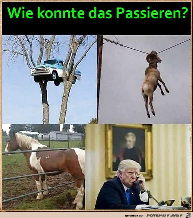 Wie_konnte_das_passieren.jpg