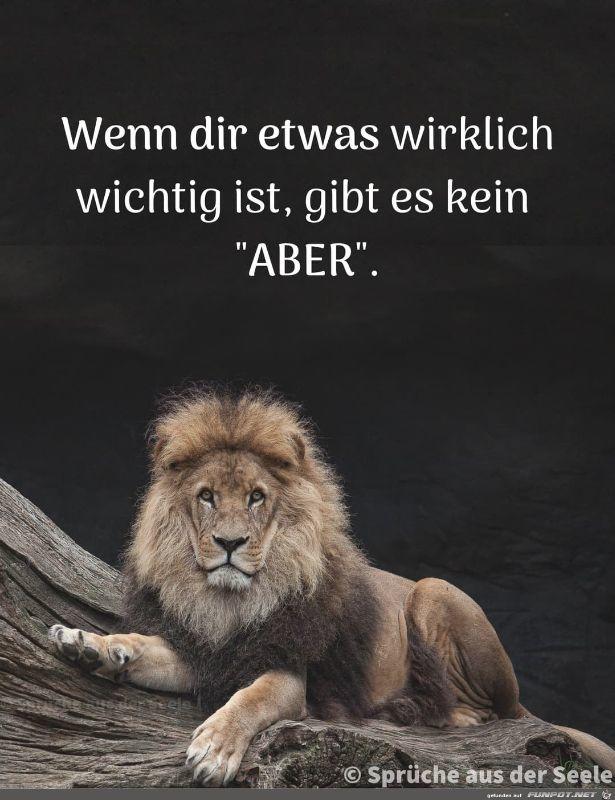 Wenn_dir_etwas_wirklich_wichtig_ist.jpg