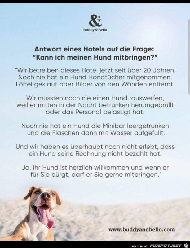 Antwort_eines_Hotels.jpg