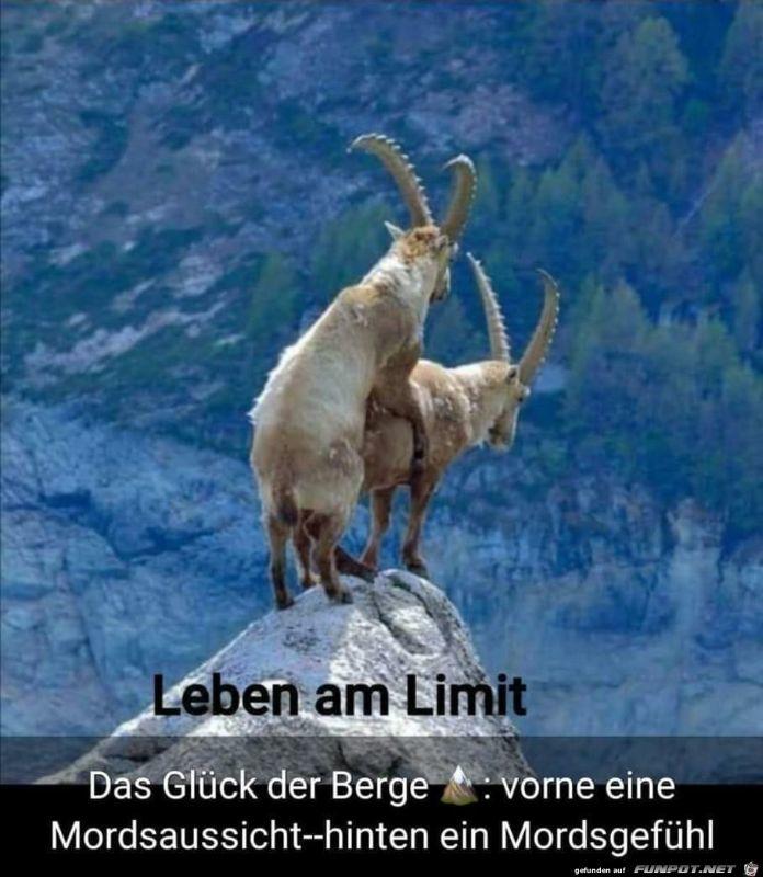 Leben_am_Limit.jpg