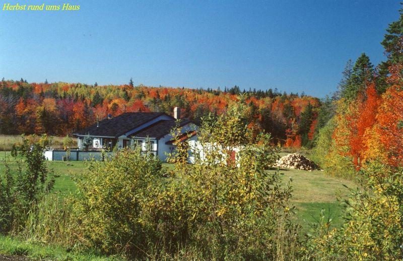 Herbst rund ums Haus.JPG