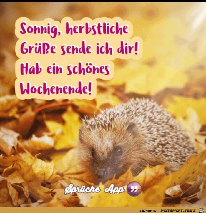 herbstliche_Grue_sse.jpg