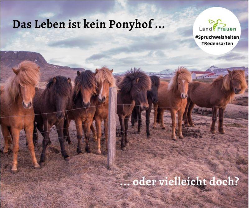 21-06-08-HP-Das-Leben-ist-kein-Ponyhof-BIN_JPG.jpg