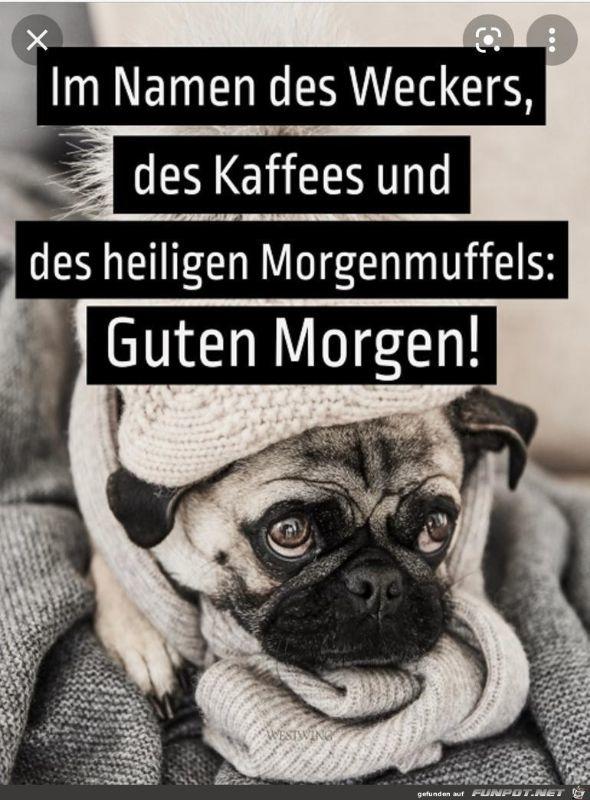 Guten_Morgen.jpg