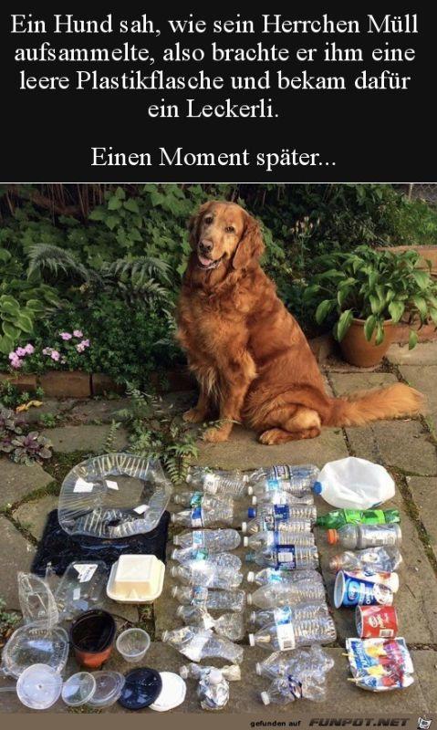 Hund_sammelt_Muell.jpg