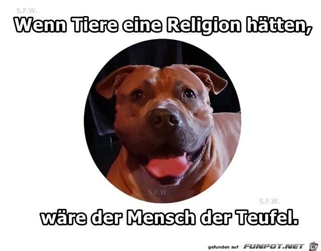 Wenn_Tiere_eine_Religion.jpg