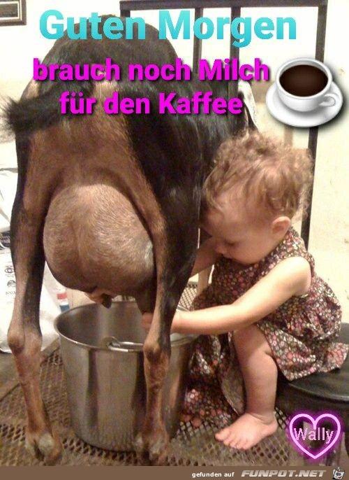 Brauch_noch_Milch.jpg