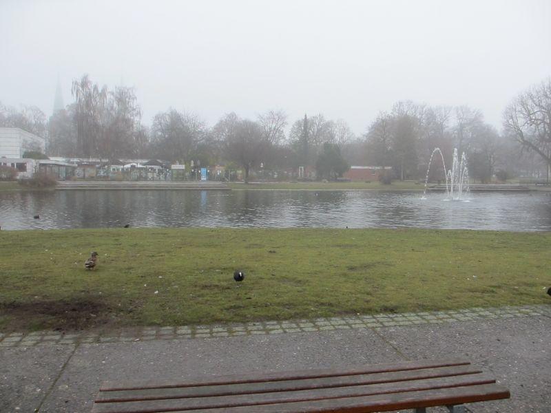 Stadtpark N..JPG