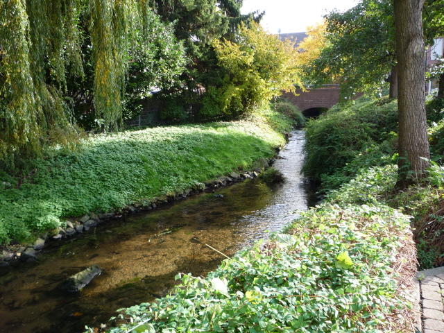 Herbsttage 004.jpg