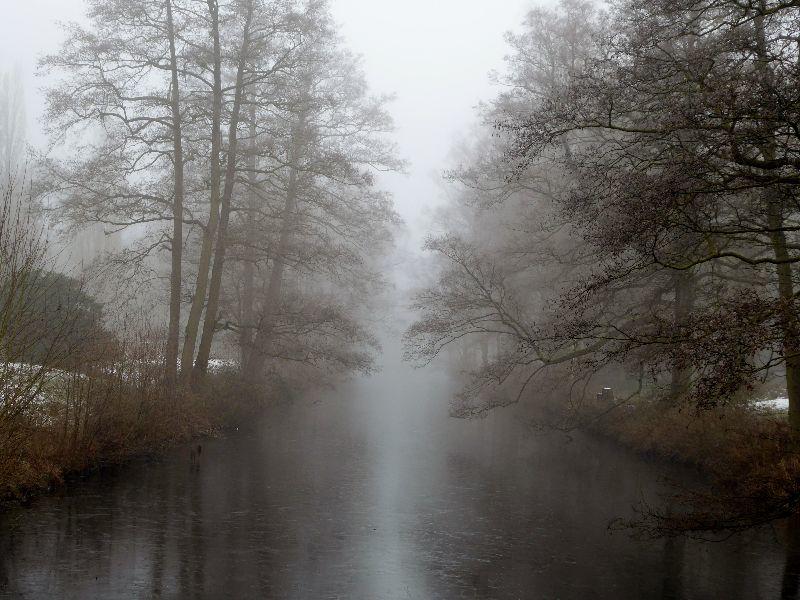 2018-01-21 Nebel auf OhlsdorfLangenfortbecken (1).JPG