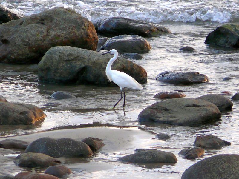 Gran Canaria 2007 106.jpg