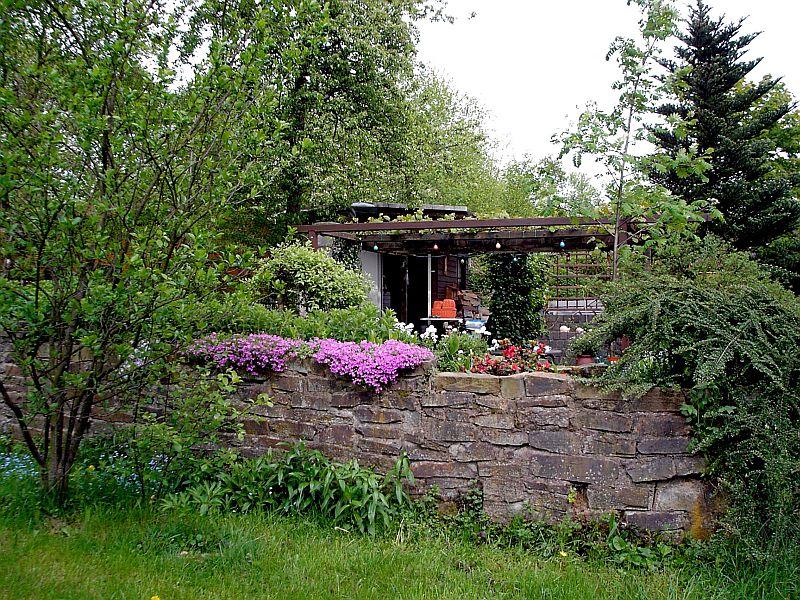 Mauer mit Polsterphlox.jpg