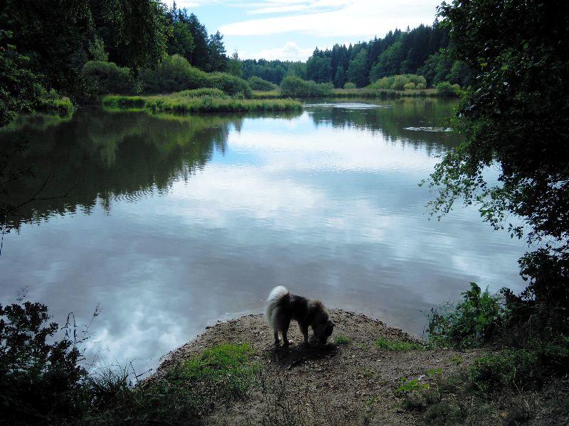 DSCN2523.JPG, ein stiller Abend am See.JPG