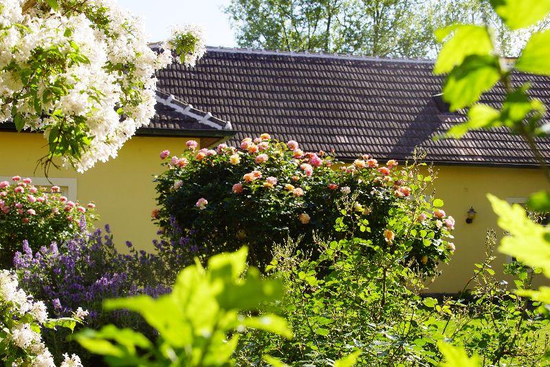 2024, 9. Mai, ungewöhnlicher Blick  vom Dirndlbaum über div. Blüten zum Zubau !!!.JPG