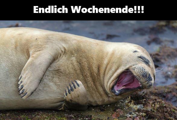 Endlich-Wochenende.JPG