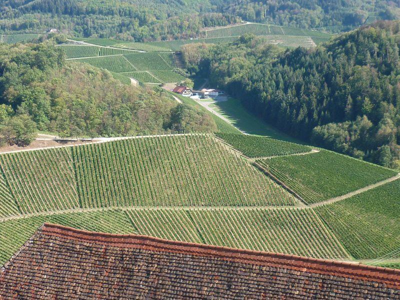 Beim Schloss Staufenberg Okt.18.JPG