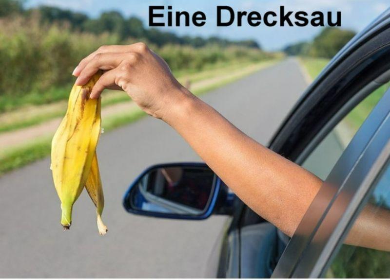 drecksau.jpg