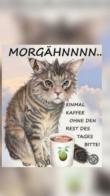 1morgenn.jpg