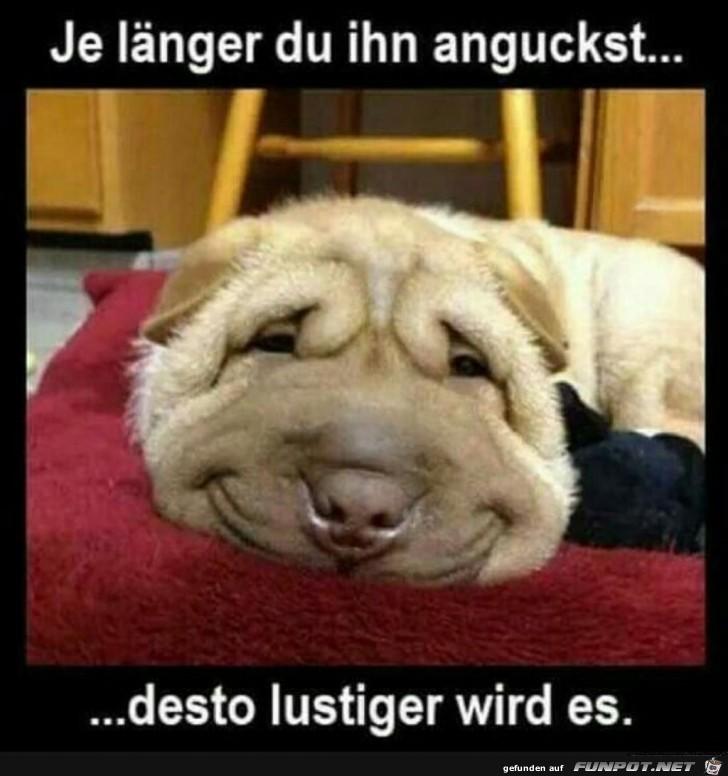 Je_laenger_du_ihn_anguckst.jpg