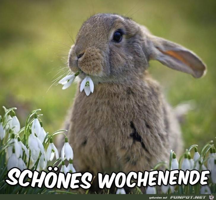 Wochenende.jpg