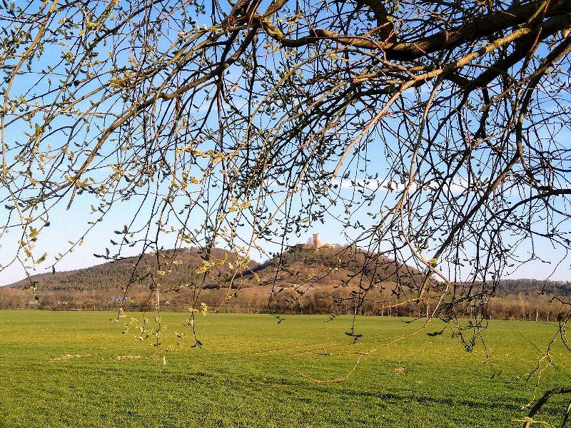 Burg Gleichen,Wandersleben.jpg