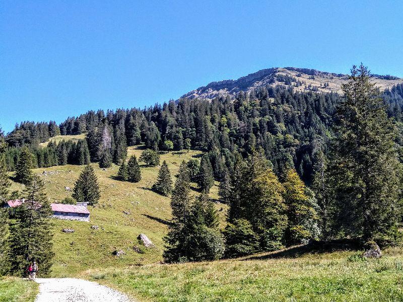 Hochgrat Blick nach oben.jpg