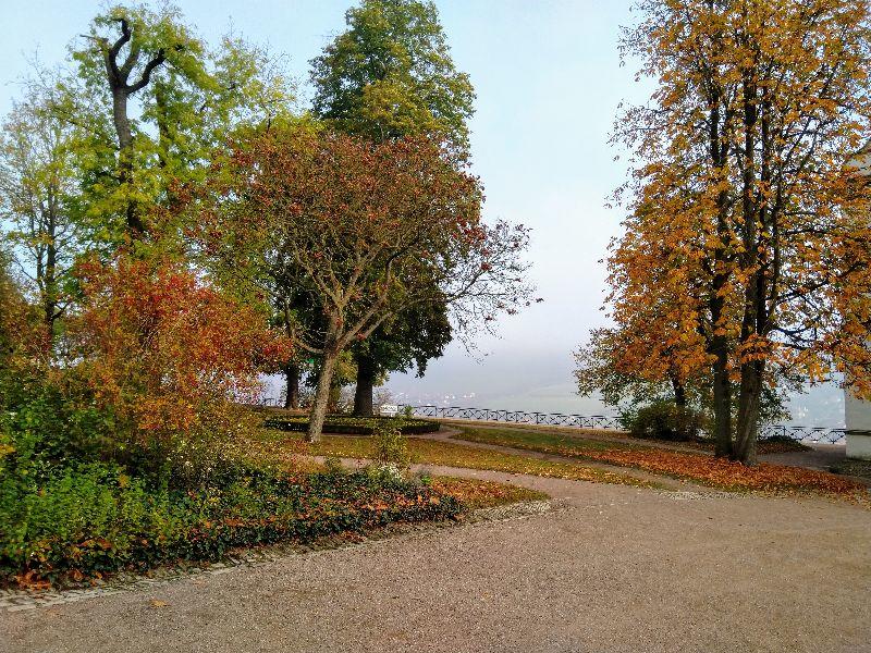 bunter Herbst.jpg