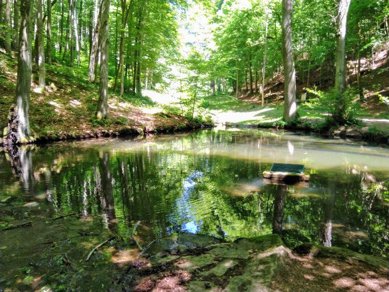 Teich am Wasserfall.jpg