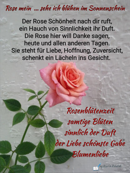 Rosengedichte3.jpg